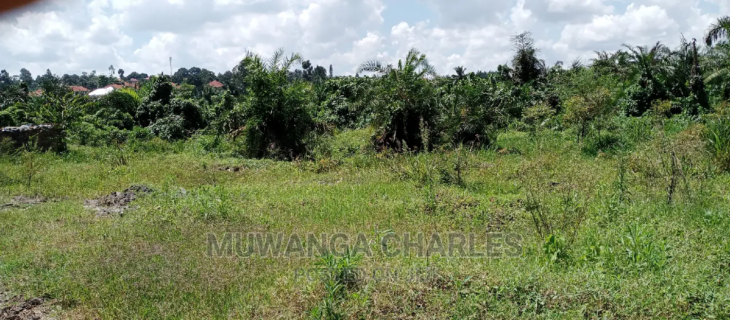 3acres of Land Is Available for Sale in Buwate