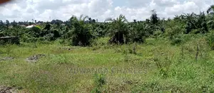 3acres of Land Is Available for Sale in Buwate