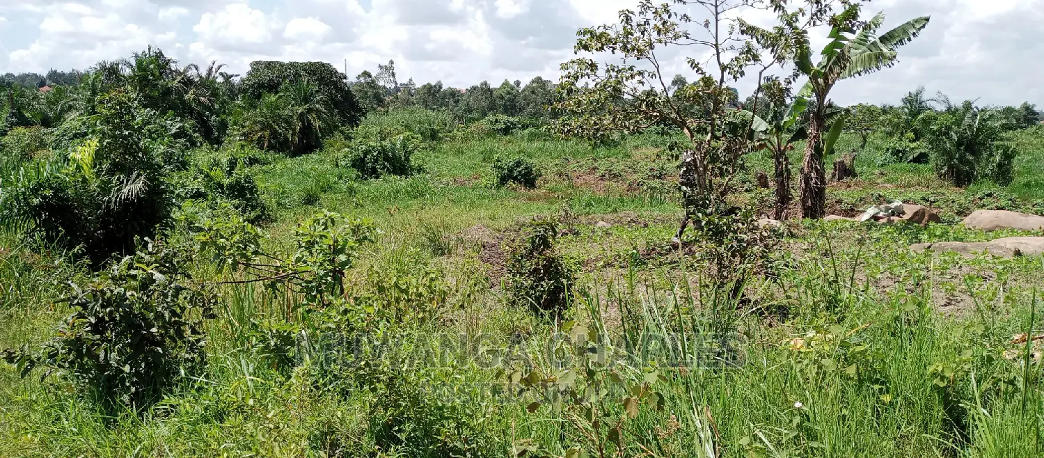 3acres of Land Is Available for Sale in Buwate