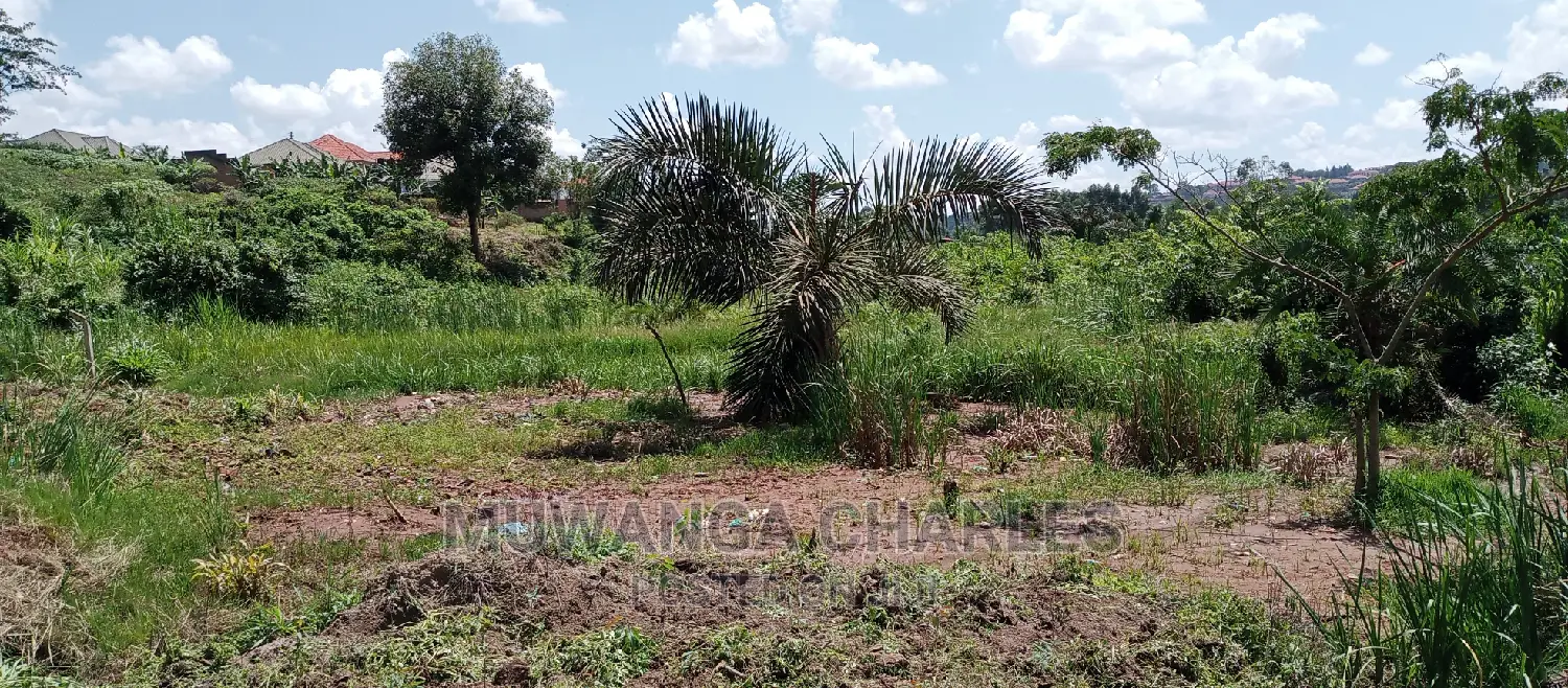 3acres of Land Is Available for Sale in Buwate