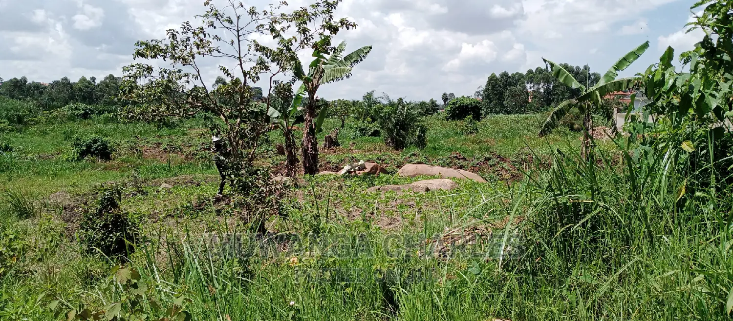 3acres of Land Is Available for Sale in Buwate
