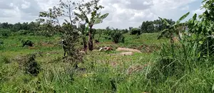 3acres of Land Is Available for Sale in Buwate