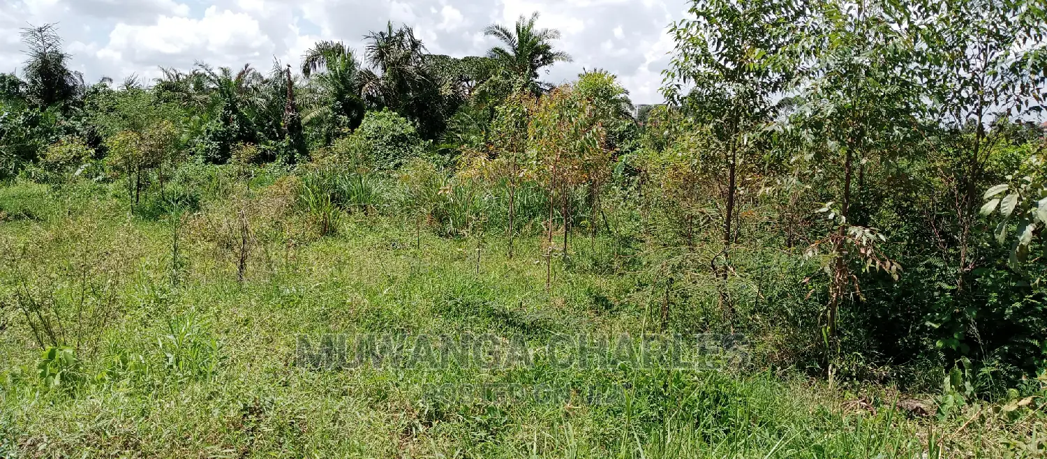 3acres of Land Is Available for Sale in Buwate