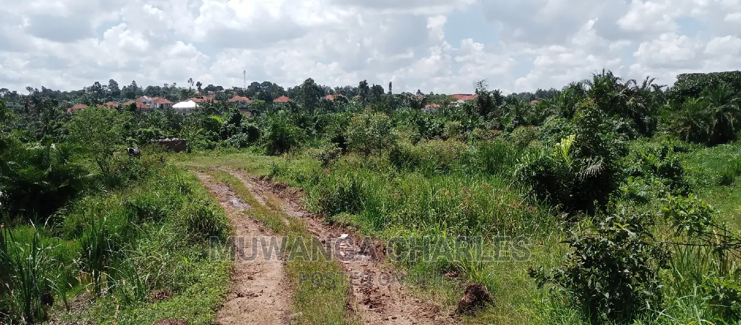 3acres of Land Is Available for Sale in Buwate