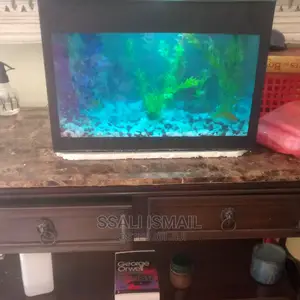 Small and Cheap Aquarium.