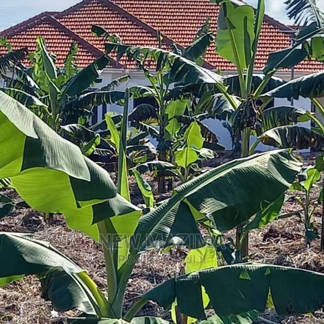 4 Bedrooms Bungalow for Sale in Nakawuka, Wakiso