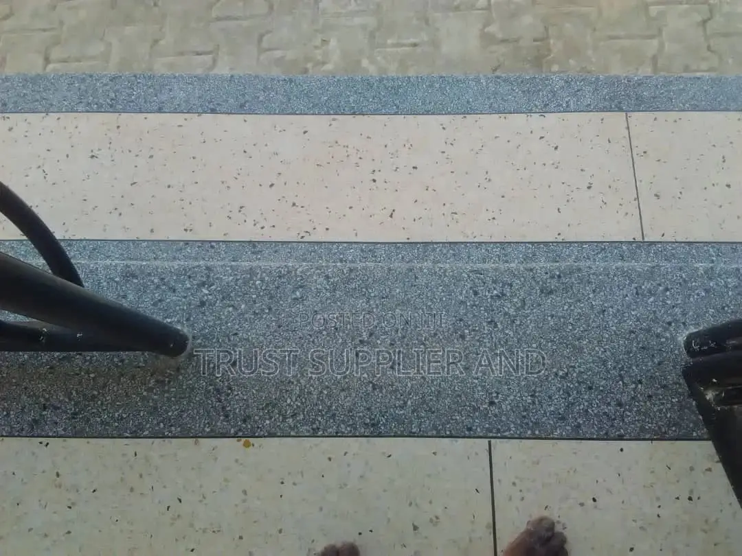 Terrazzo Floors Designer 1
