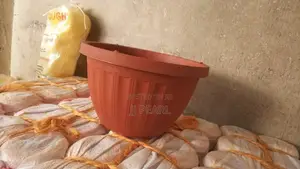 Plastic Flower Pots