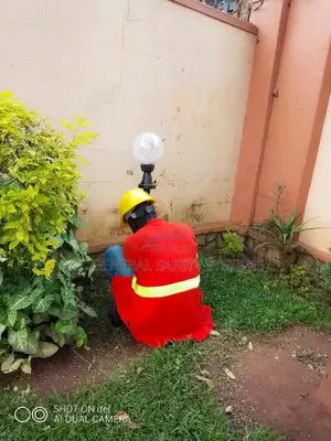 Garden Lights