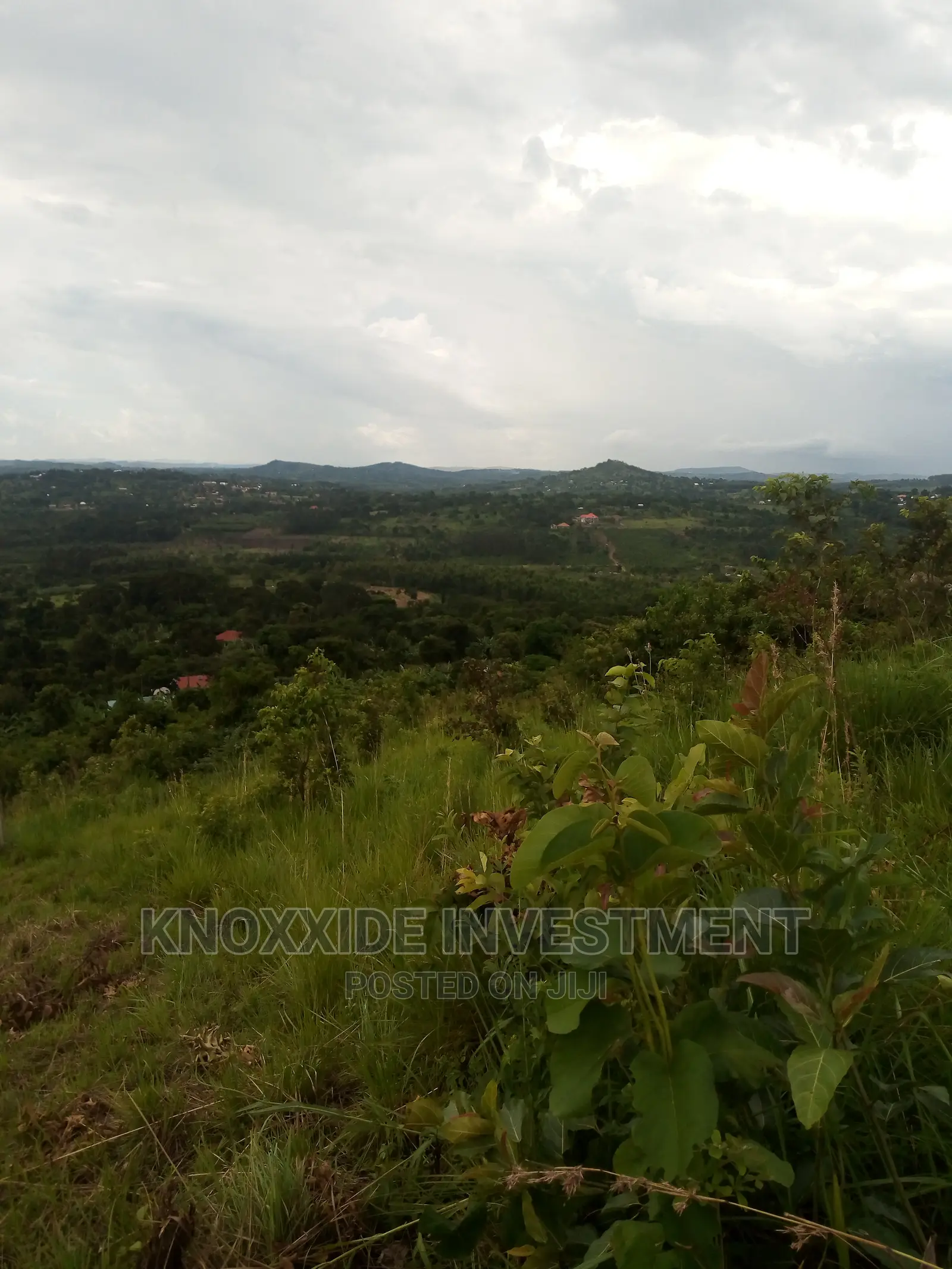 Land For Sale 1 Acre Bulamu Before Jezza
