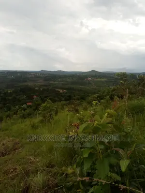 Land For Sale 1 Acre Bulamu Before Jezza