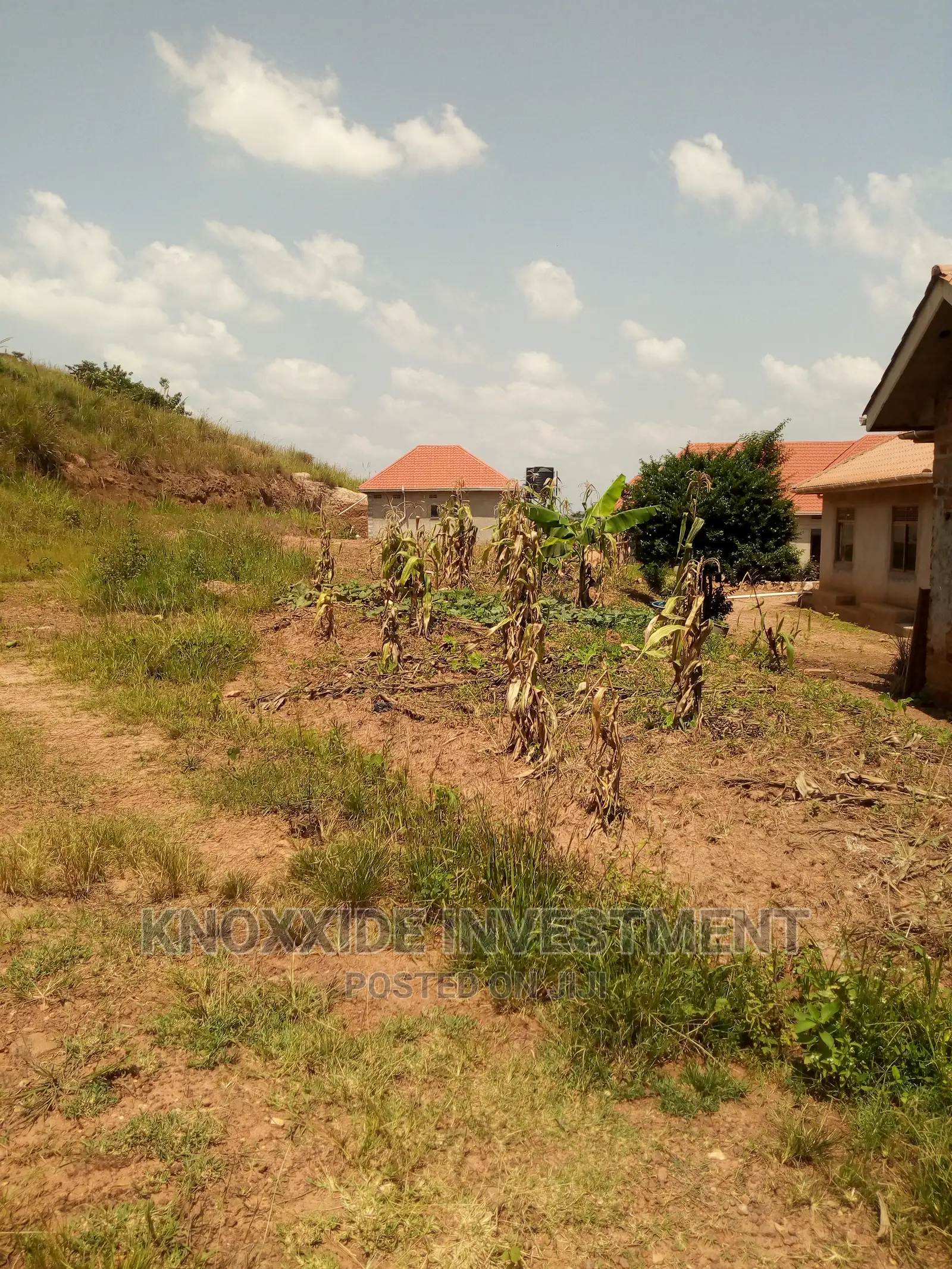 Plot 40x30ft Lukwaga Town for Sale