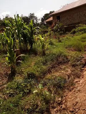 Plot For Sale 100x50ft Setema