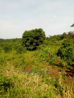 Plot for Sale in Mpoma, Mukono (1acre)