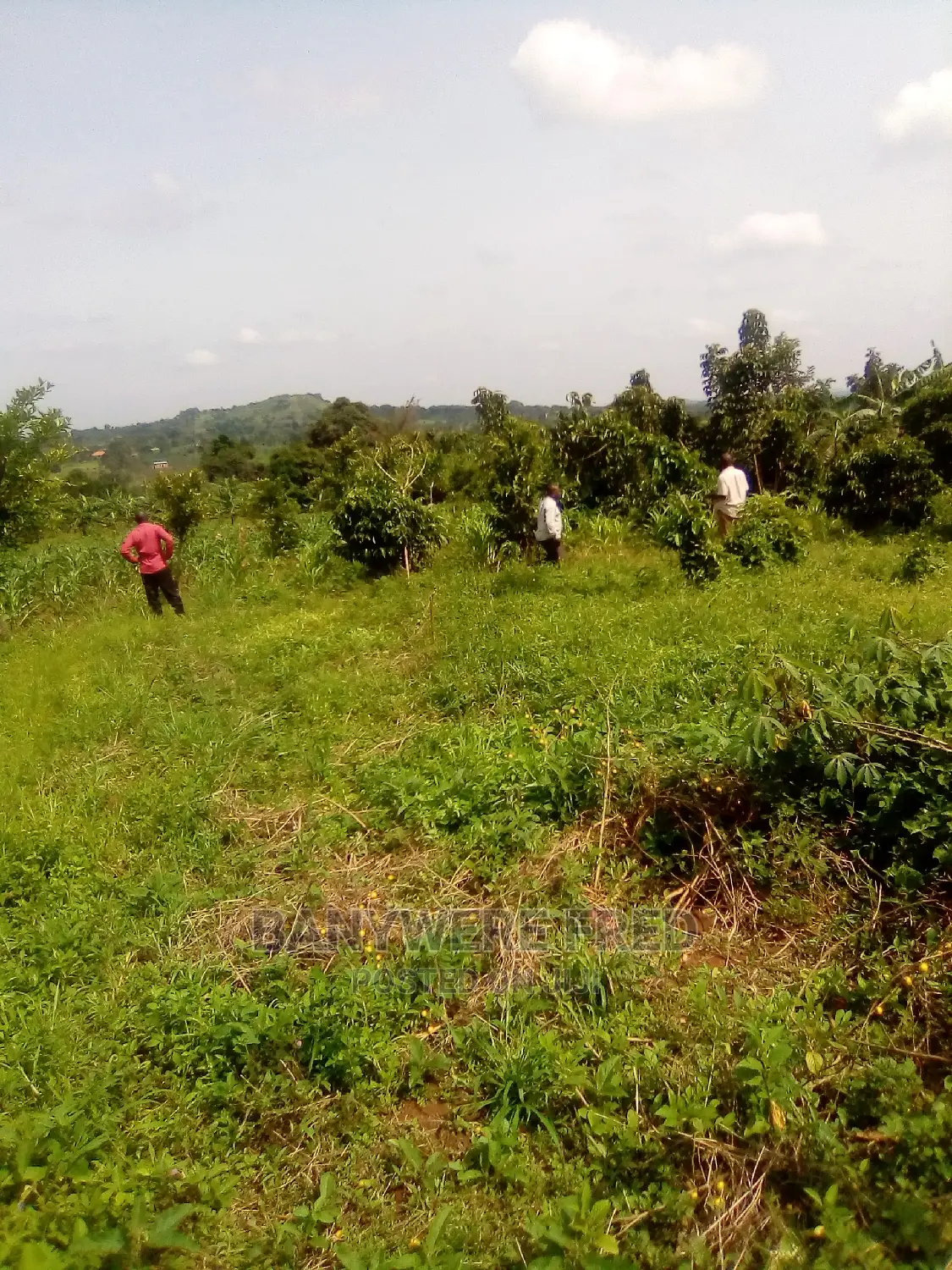 1acre for Sale in Nakifuma, Mukono