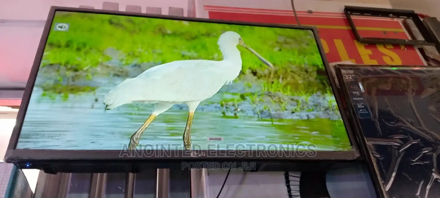 Lg Tv 32" Free to Air