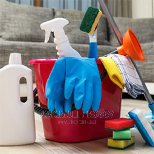 Cleaning Services/ Cleaners