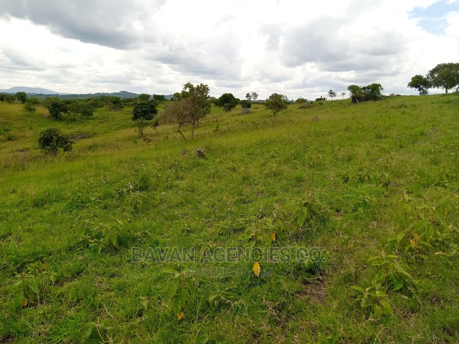 49 Acres of Land for Sale in Kitagwenda District