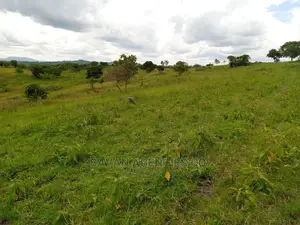 49 Acres of Land for Sale in Kitagwenda District