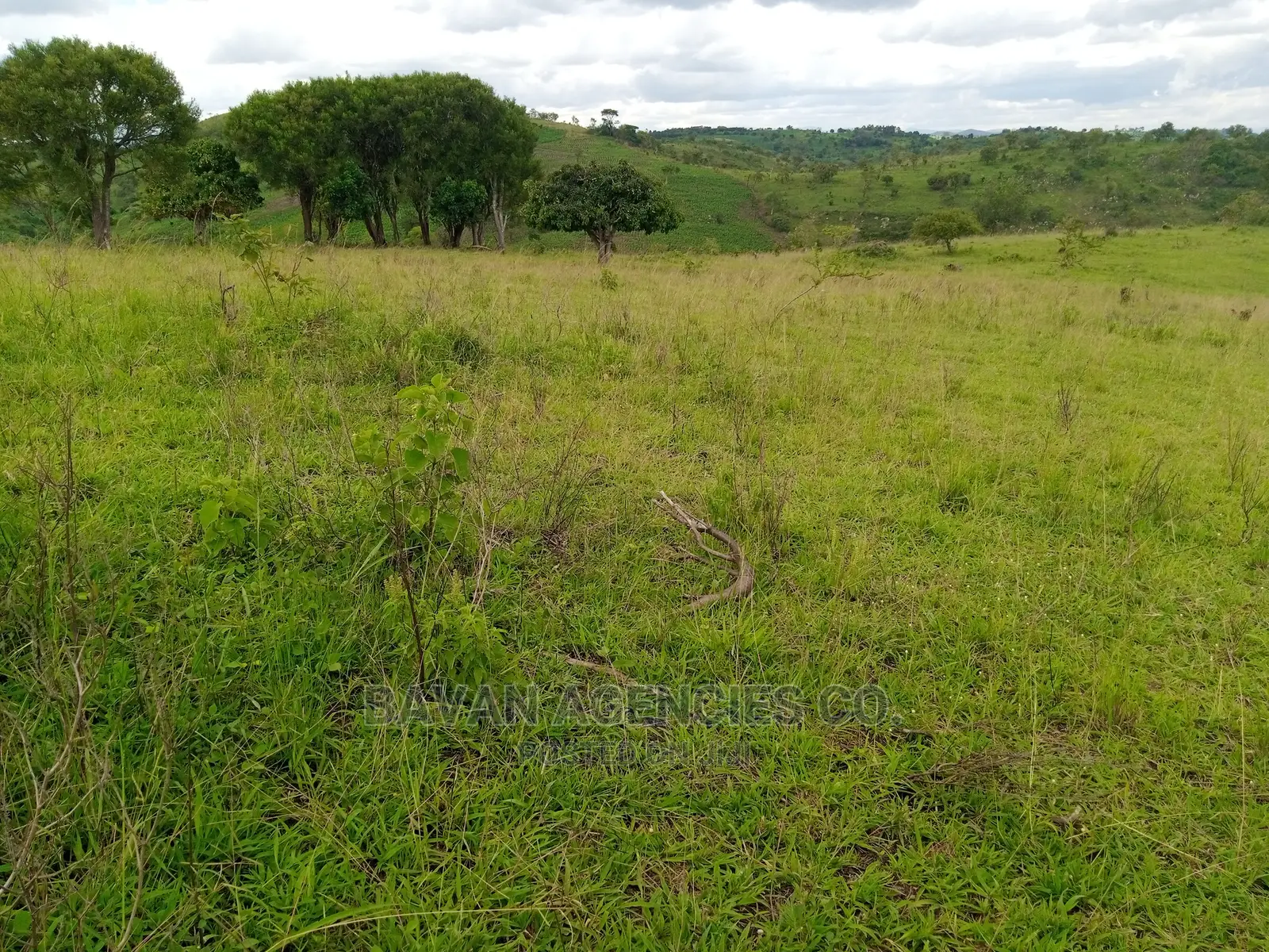 49 Acres of Land for Sale in Kitagwenda District