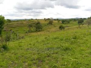 49 Acres of Land for Sale in Kitagwenda District