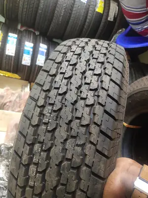 255/70r15 Practicalmax Tires