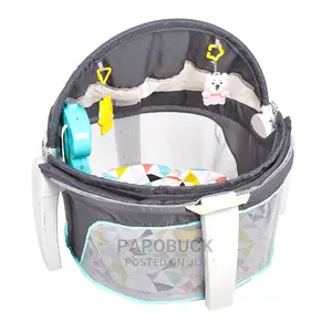 Fisher-Price on the Go Baby Dome