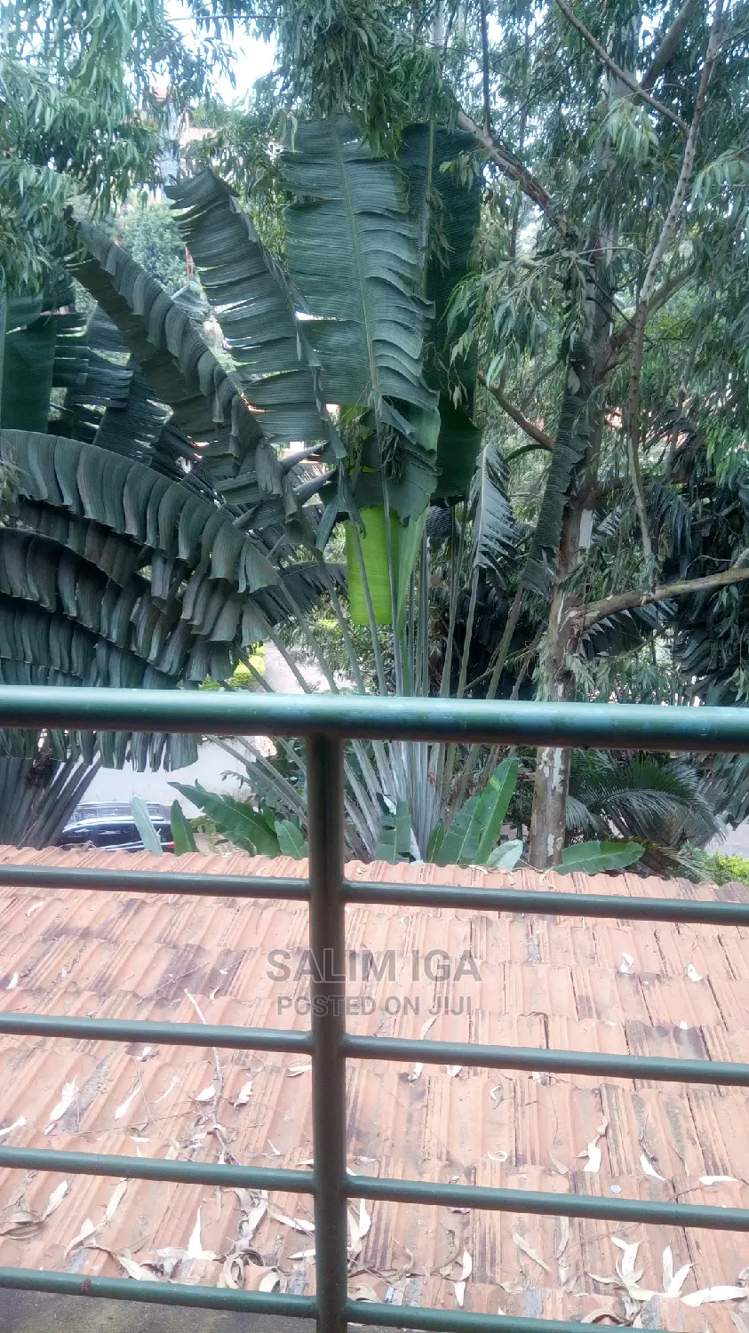 Storeyed Home