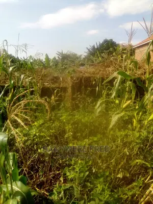 Plot for Sale in Jomayi Estate, Namwezi Sonde
