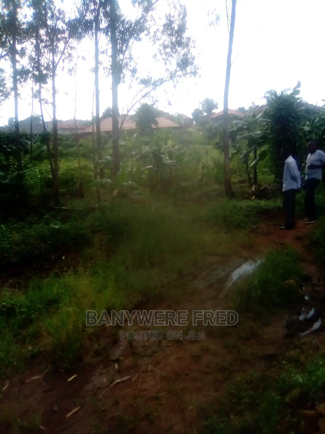 100/100 Plot for Sale in Nabusugwe Sonde