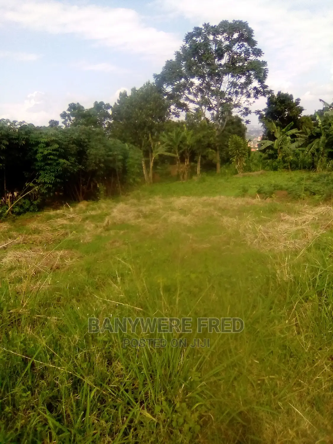Plot 50/100 for Sale in Jogo Near Church of Uganda