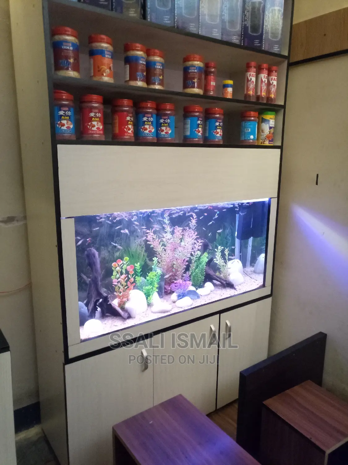 Cream Colour Aquarium With Exellent Interiors