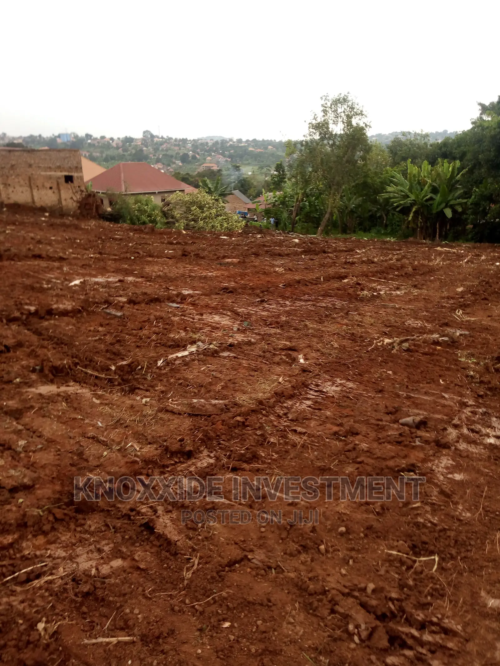 Land 4 Sale Half Acre at 80m Ugx Kyebando Muyomba