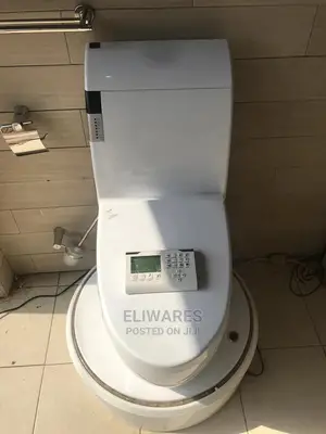 Smart Toilet