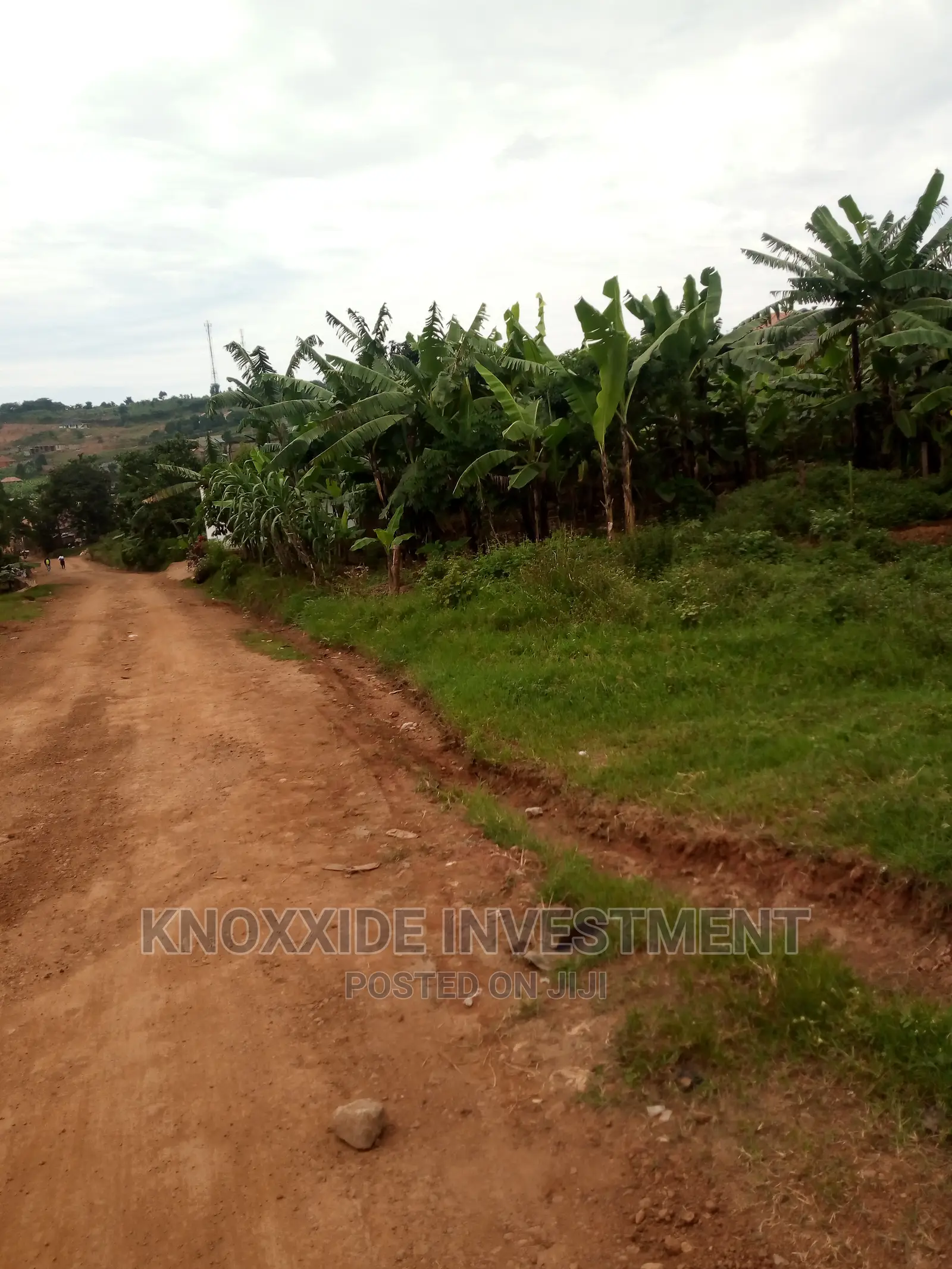 Plot for Sale 60x30ft at 5.5m Ugx Setema Town