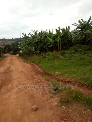 Plot for Sale 60x30ft at 5.5m Ugx Setema Town