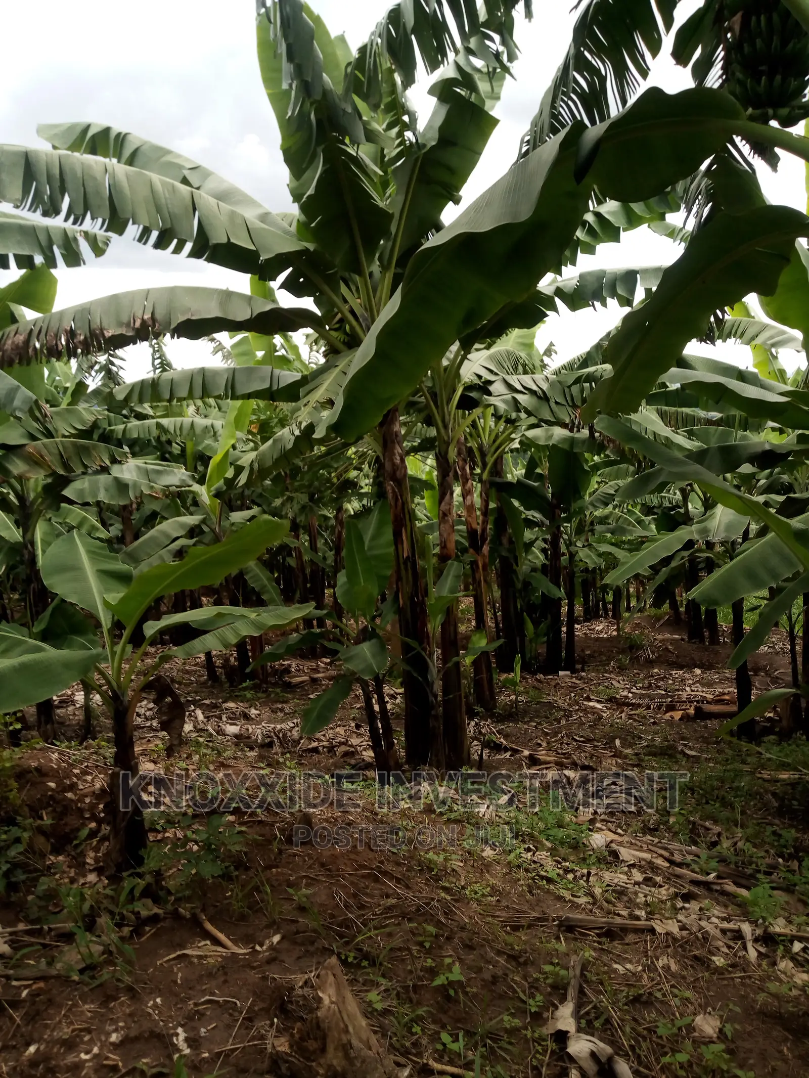 Plot for Sale 45ft X50ft at 20m Ugx Kireka Bira