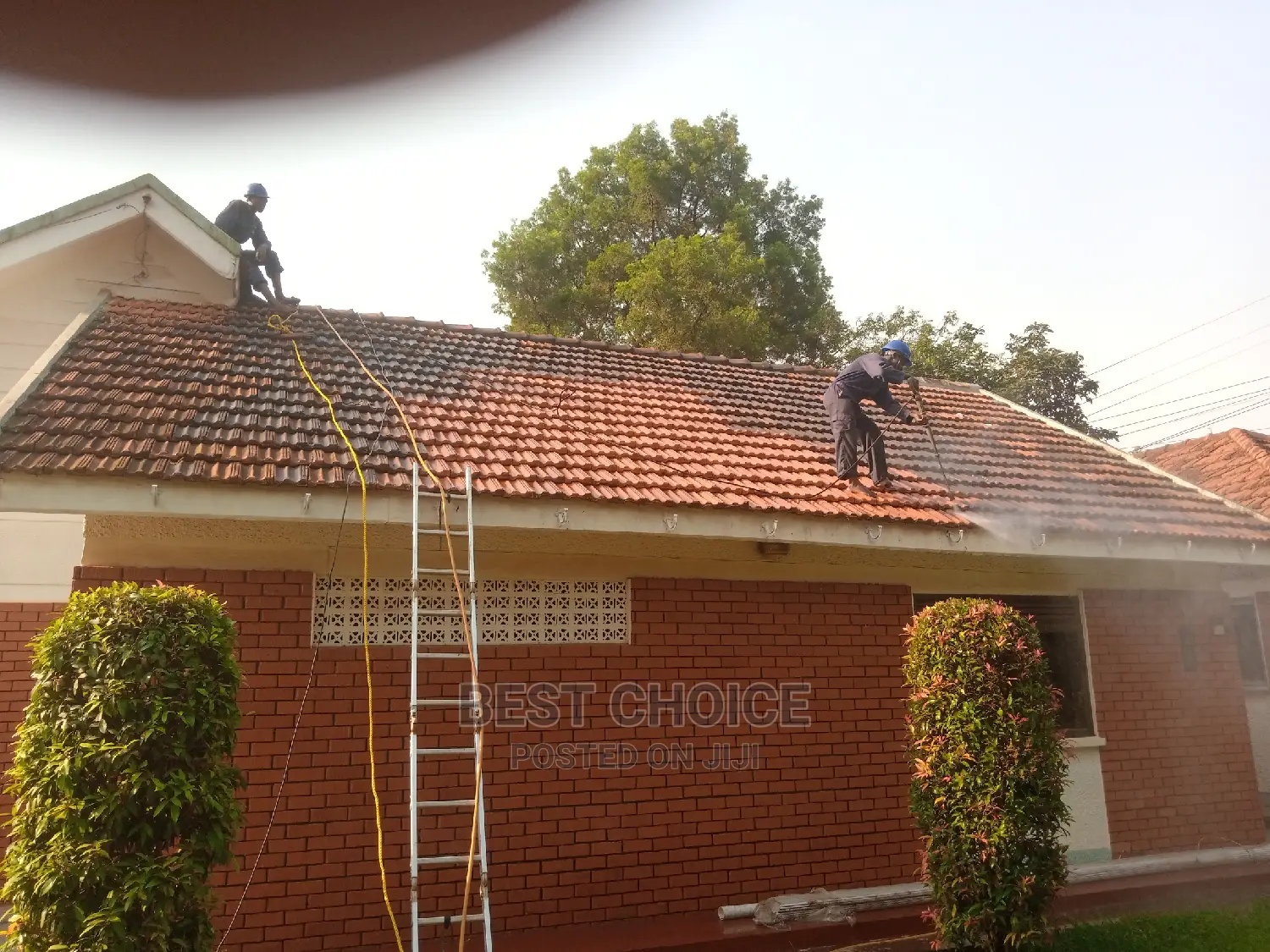 Roof Cleaning Services