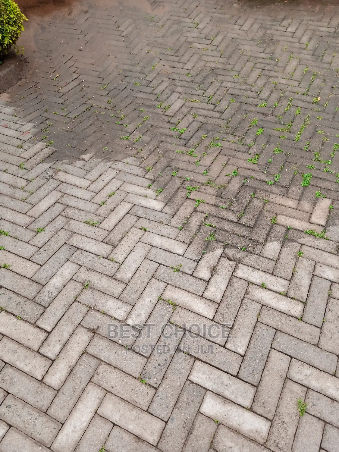 Paver Cleaning