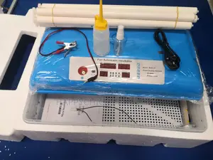 Automatic Egg Incubator