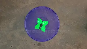 Net Food Cover