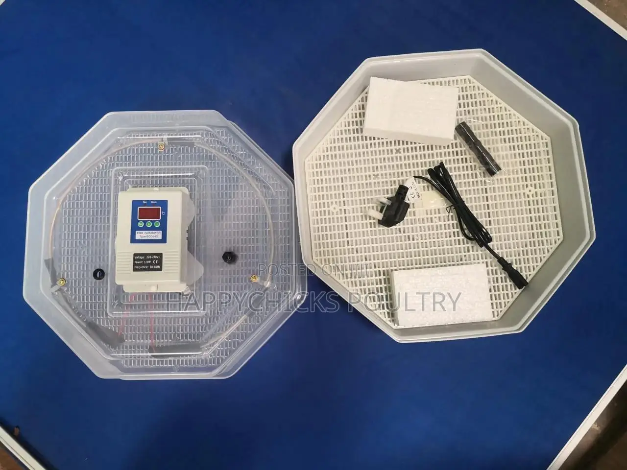 Egg Incubator
