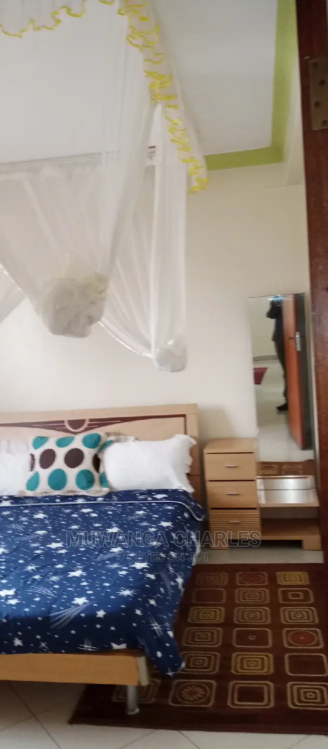 Furnished 2bdrm Apartment in Fs Properties Ltd, Kampala for Rent