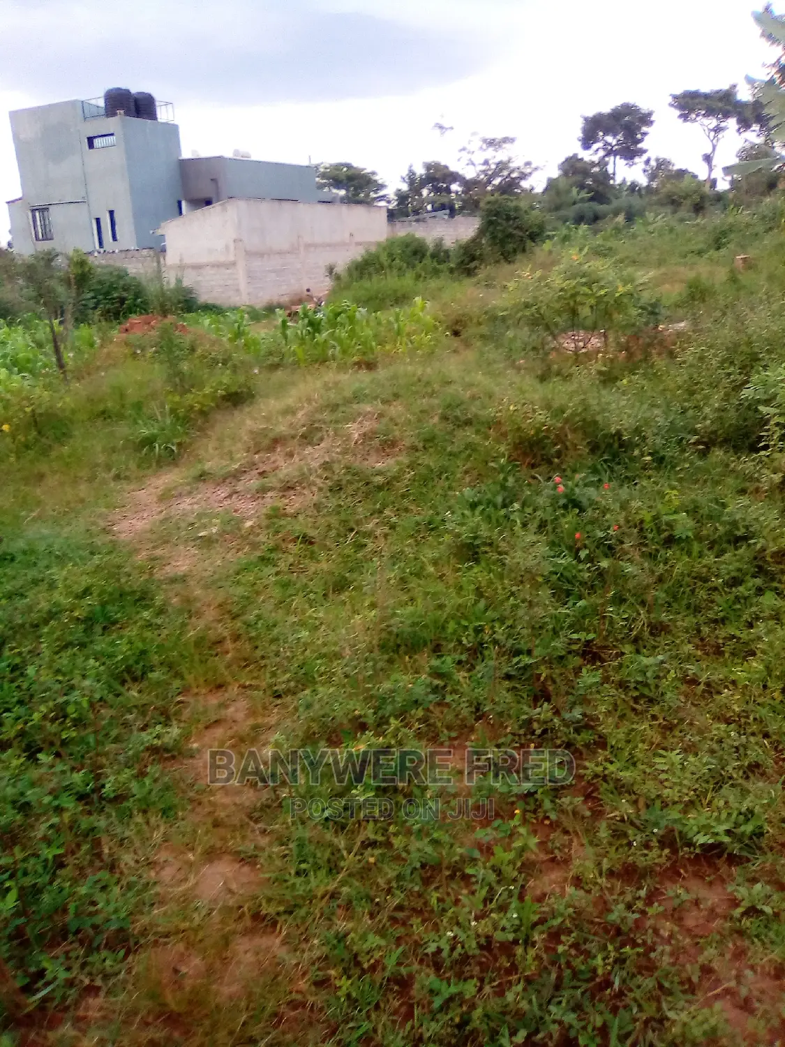 Acre of Land for Sale at Jongo