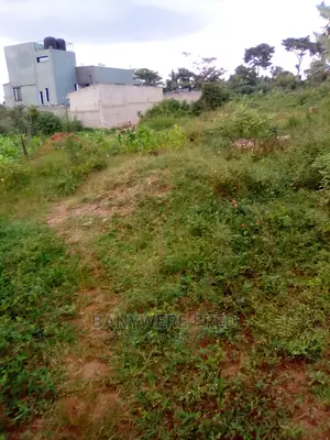 Acre of Land for Sale at Jongo