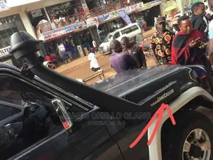 Car Snorkel for Alndcruiser and Other Cars