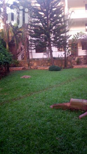 A Storeyed House for Rent in Naguru