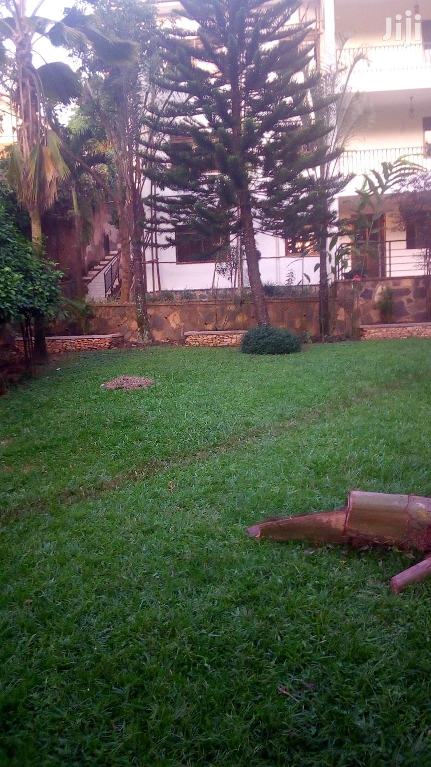 A Storeyed House for Rent in Naguru