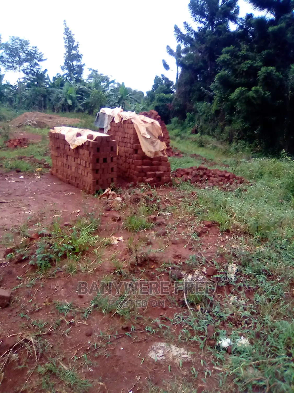 100x50ft Plot for Sale at Gayaza Manyangwa
