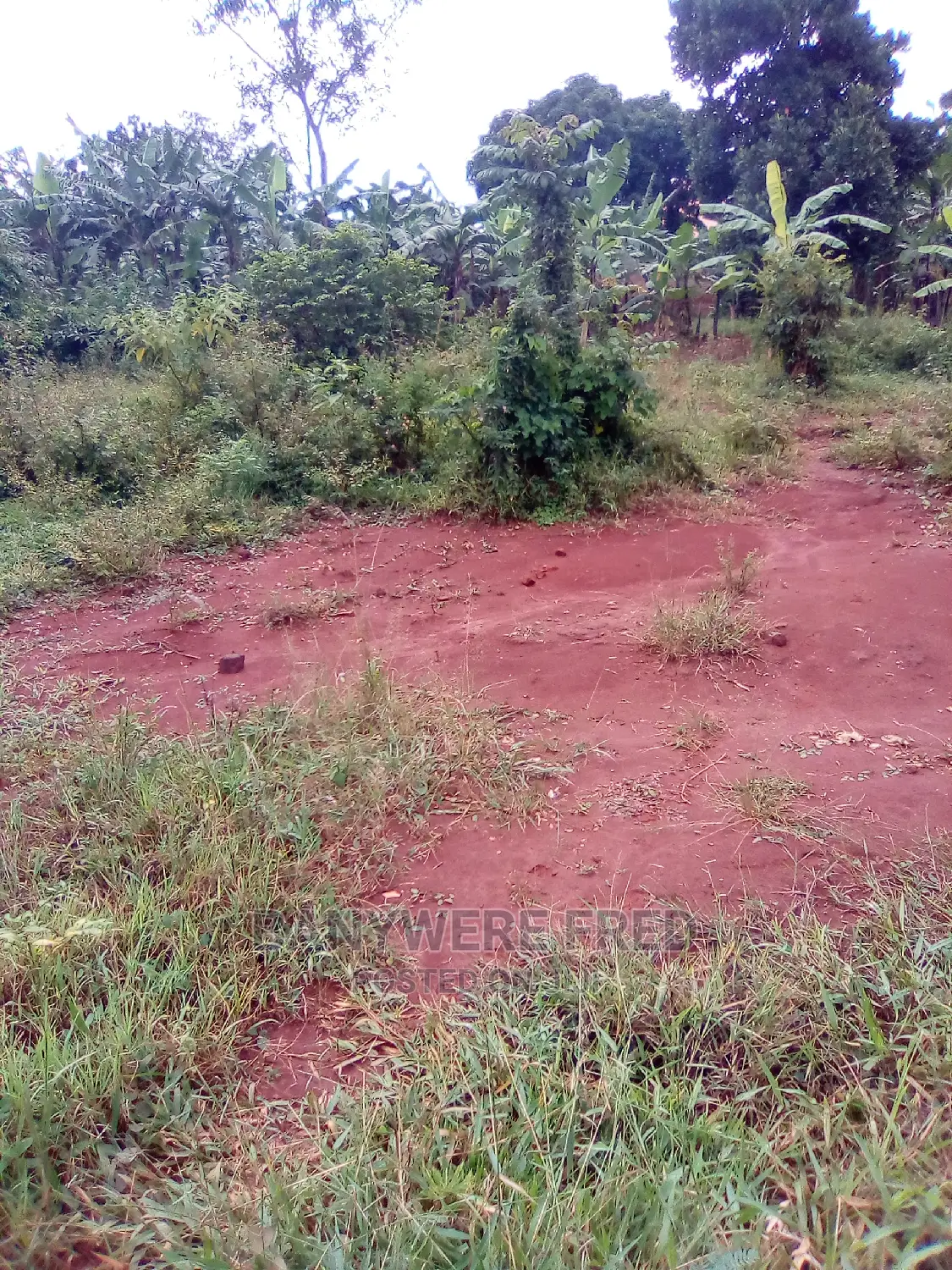100x50ft Plot for Sale Ta Only 15000000 Shillings